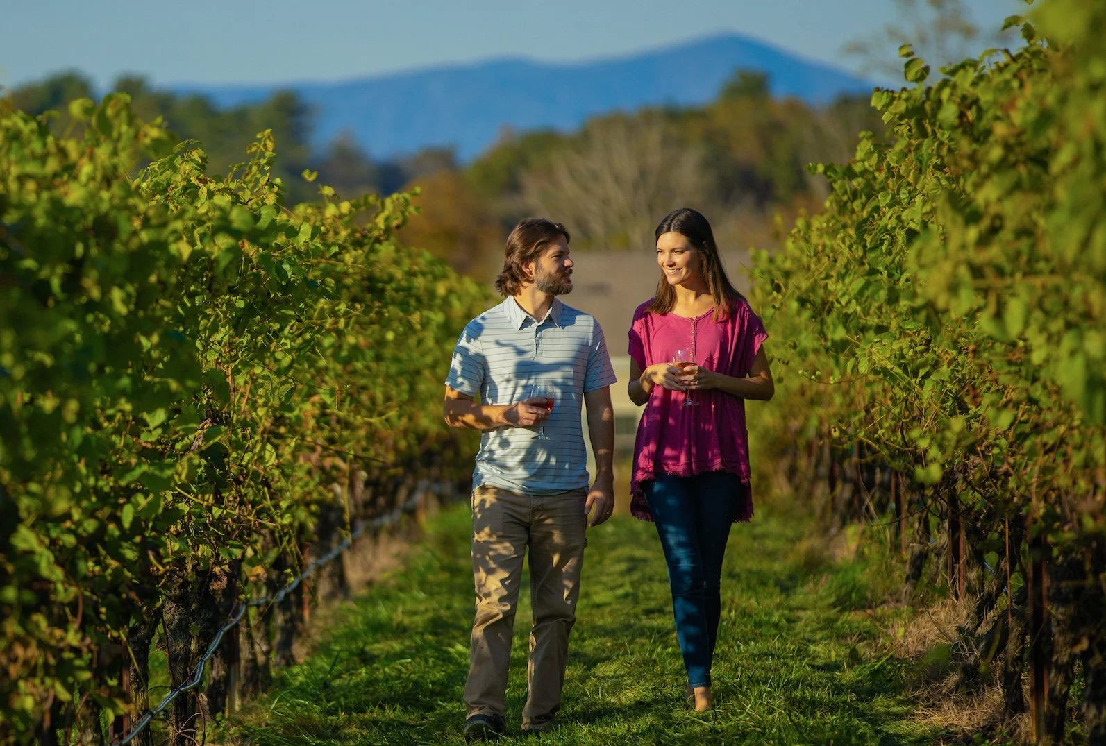 Surry County Wine Trail