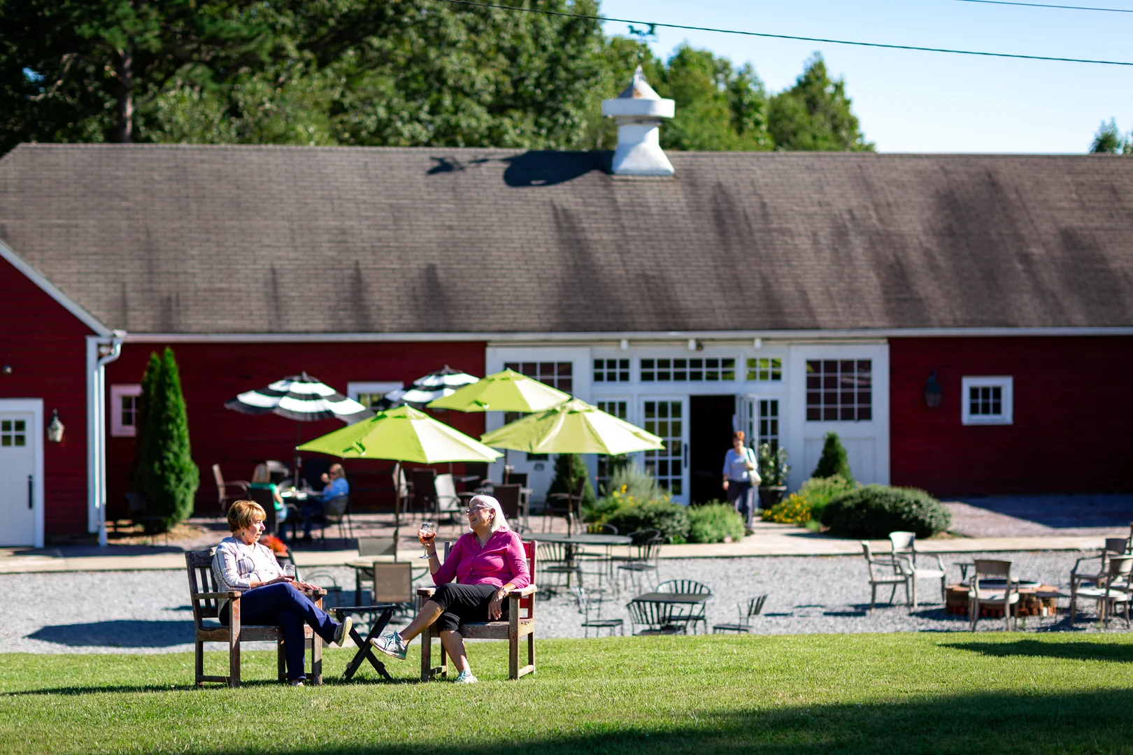 Winery in Yadkin Valley - Grassy Creek