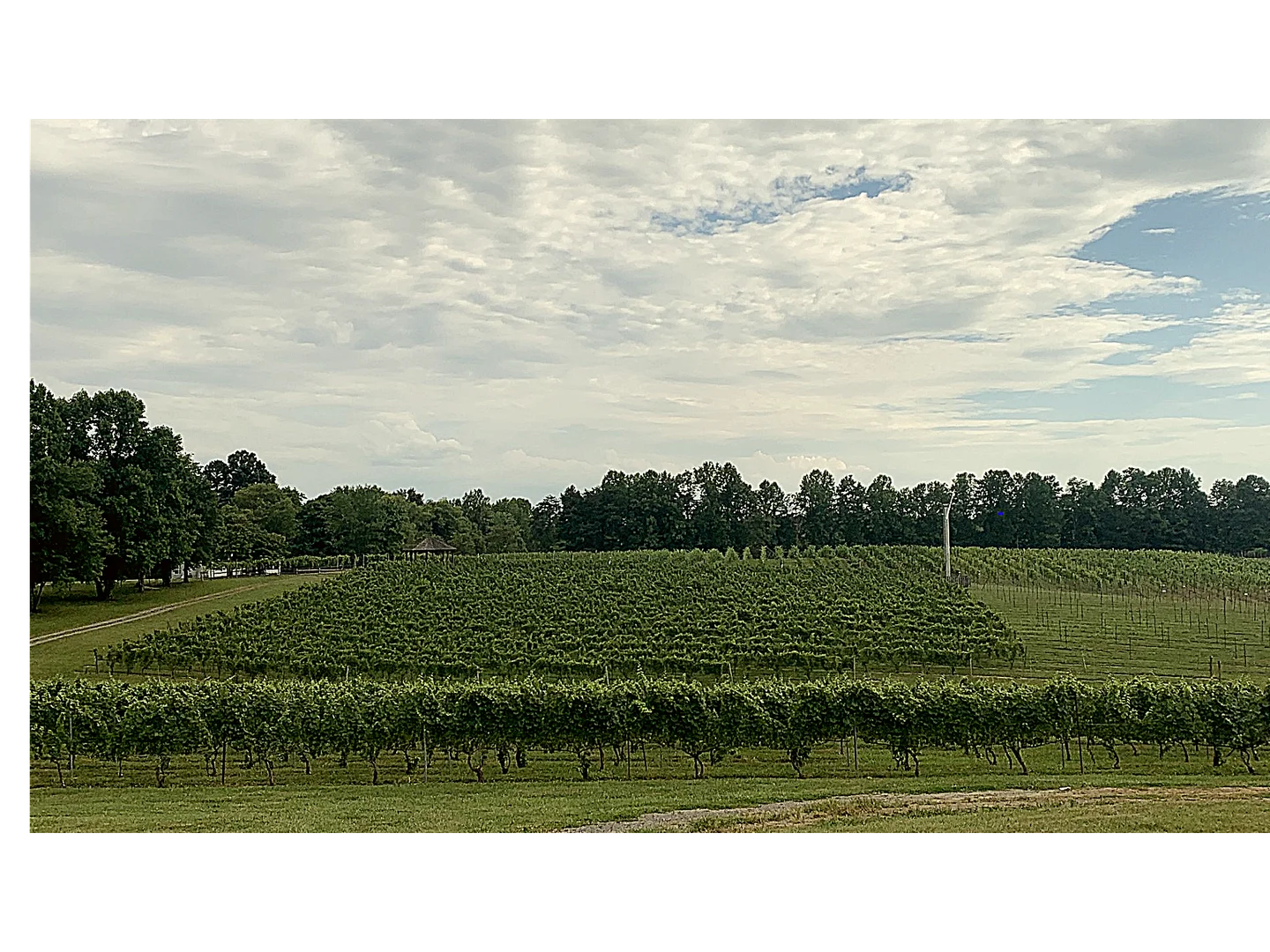 vineyard-round peak